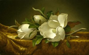 Magnolien auf goldenem Samttuch